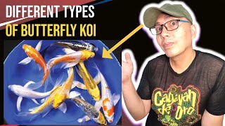 Discover Unseen Butterfly Koi Varieties: Astonishing & Stunning 🦋🐠