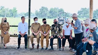 Saat Presiden Jokowi Dialog dengan Petani Tebu, Mojokerto, 4 November 2022