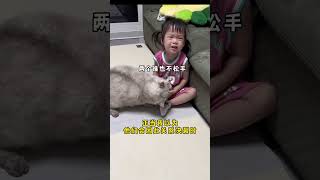 Cat and Baby  一个猫薄荷球都能玩这么久，这就是娃和猫一起样的乐趣吧！😂🐱#shorts #cat #catandbaby