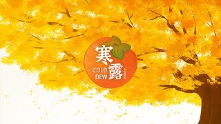 Cold Dew 寒露浓秋色，莫负好时光