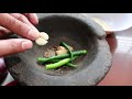 tikka paneer recipe ਪਨੀਰ ਟਿੱਕਾ how to make paneer tikka grill paneer tikka at home jaanmahal