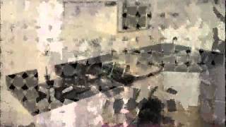 The Seed Terre_0001.wmv