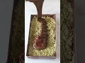 The viral Dubai Kunafa Chocolate Bar