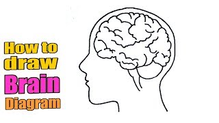 How to draw brain diagram easily - Human Brain Easy Draw Tutorial | Brain drawing outline
