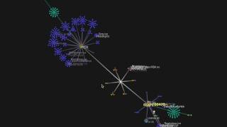 OpenRDX - Subversion Control Visualization (Gource)