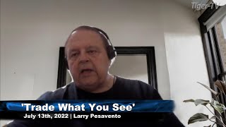 July 13th, Trade What You See with Larry Pesavento on TFNN - 2022