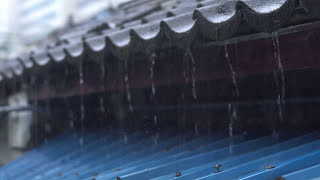 불면증 개선 수면유도 빗소리 asmr - 기와 지붕 철판 위로 떨어지는 비 2시간 영상