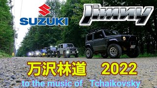 ジムニーで行く 万沢林道2022