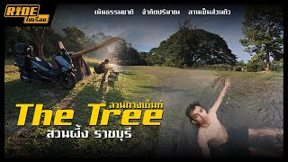 ขี่ Forza 350 แบกปี๊บ 3 ใบ ไป camping ที่ The Tree สวนผึ้ง ลานกางเต็นท์ธรรมชาติติดริมน้ำ สุด Private