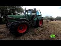 foin mis en andain 2021 fendt 311 lsa