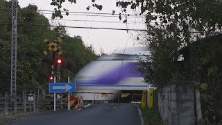 東武日光線　第209号踏切道(その1-2)