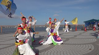 飛翠迅 黒潮よさこい祭り2019