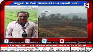 Amreli : ખાંભા પંથકના ખેડૂતો માથે આફત || Sandesh News TV | Cyclone Tauktae