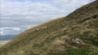 Gargunnock Hill