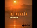 İki keklik enstrumantal