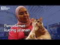 Selamatkan kucing buta, suri rumah tenang pelihara haiwan jalanan