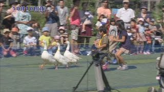 『動物たちといっしょに運動会！』『宮崎光風会小品展』宮崎の町情報をお届け！！「わが町レポート」