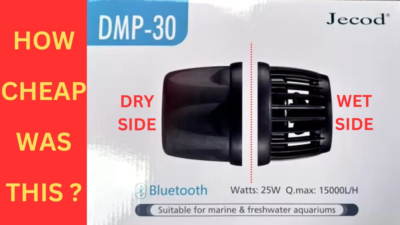 New Jecod Dmp 30 Wavemaker Youtube