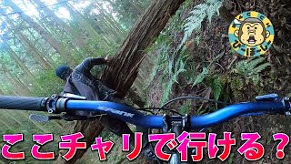 日没ぎりぎり里山弾丸登山サイクリング 茨木免山鉢伏山自然歩道周辺散策