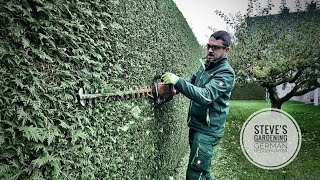 🌿HOW to bring a THUJA hedge BACK into SHAPE on a RAINY day Before | After Stihl HSA86🔋