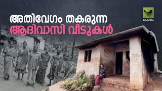 അതിവേഗം തകരുന്ന ആദിവാസി വീടുകൾ | Keraleeyam Web