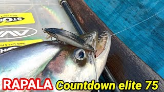 RAPALA COUNTDOWN ELITE 75 versus LAIS TEMBIRING