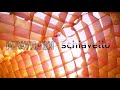 MPavilion 2022 Feature Video | Schiavello Construction