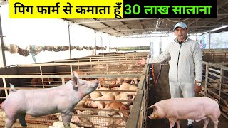 पिग फार्म से कमाता हूँ 30 लाख सालाना II Pig Farm II Pig