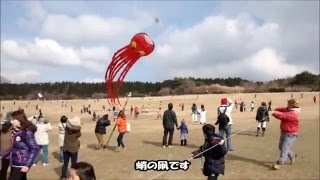 第15回たこたこあがれin富士山