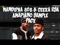 Nandipha 808 & Ceeka Rsa Amapiano Sample Pack 2024 + Preview
