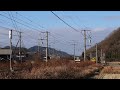 黄色の電車　疾走 jr西日本　115系　山陽本線 【eos r10で撮影】