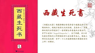 索甲仁波切《西藏生死書》可視有聲書 樂道聞書院製作丨索甲仁波切《西藏生死书》可视有声书 乐道闻书院制