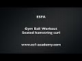 esfa gym ball seated hamstring curl