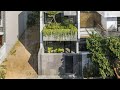 transforming a narrow urban home with hanging gardens for a cooler and greener living space