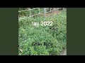 lay 2022