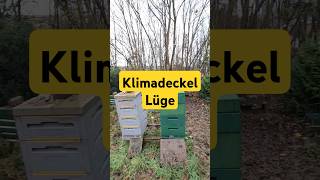 Bienen brauchen Wasser - Klimadeckel Lüge! #imkern #bienen