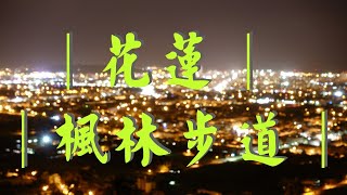 『台灣小旅行』花蓮 |楓林步道夜景 |