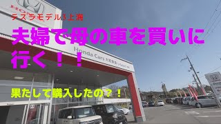 テスラ　モデル3上海モデル　妻がオートパイロット使った感想も。50代テスラオーナーVlog