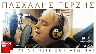 Τα Ψιλά - Πασχάλης Τερζής | Official Audio Release