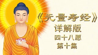 《无量寿经》详解版 四十八愿 第十集