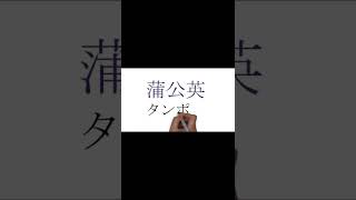 暗記　植物の漢字「タンポポ」【勉強、花、教養】