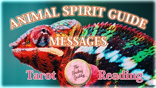 Your ANIMAL SPIRIT GUIDES and their messages🦁🐻🐴Pick a card tarot reading🧿Psychic reading🔮 Love| Life