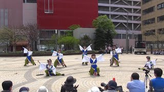 五十丸祭組 @ AOMORI春フェスティバル (青森駅前公園会場) 2017-05-05T09:42