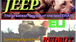 JEEP/REDBOY/ELI: THE GREATEST RECIPE OF THE LAST ERA??? #sportingdogs #gamedogs #gamebred #dogtalk