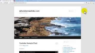 Wordpress Text Widget Overview