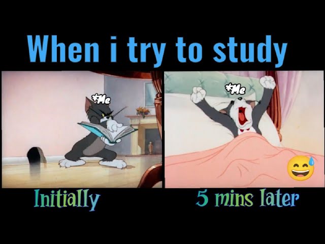 Funny Study Memes
