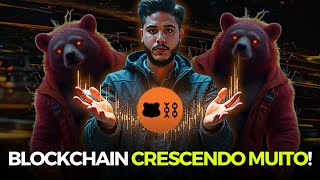 Berachain(BERA) - Vale a Pena Investir Nessa Criptomoeda?