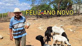 SEU MANOELZINHO DESEJANDO UM FELIZ ANO NOVO PARA TODOS. PROGRAMA MATUTO MAMOEIRO.