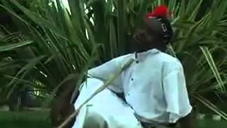 Addunya Galalcha - Birri Bisii (Oromo Music) - Wollo