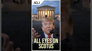 FILED: Supreme Court Brief on Trump BALLOT BAN